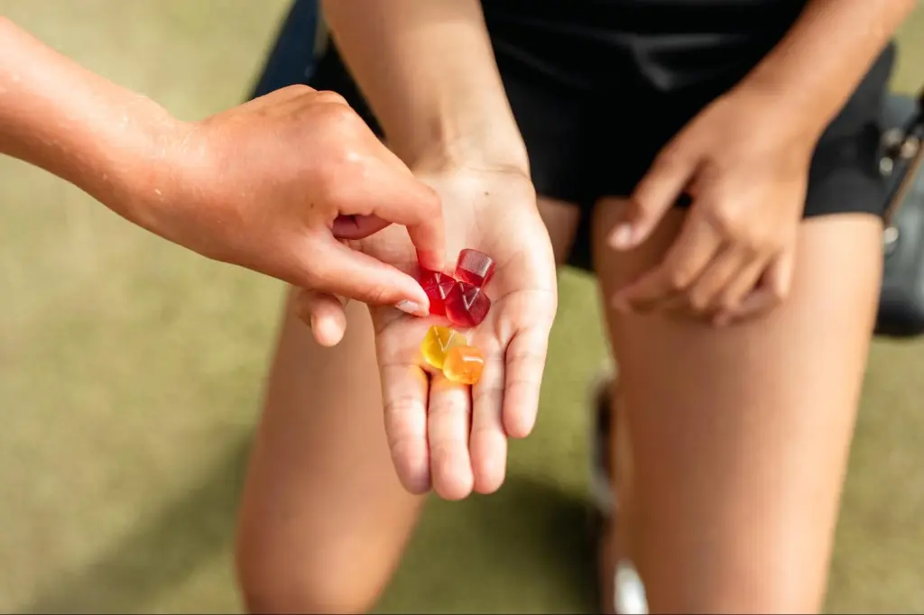 Feel Better, Naturally: How HHC Gummies Support Integrative Health